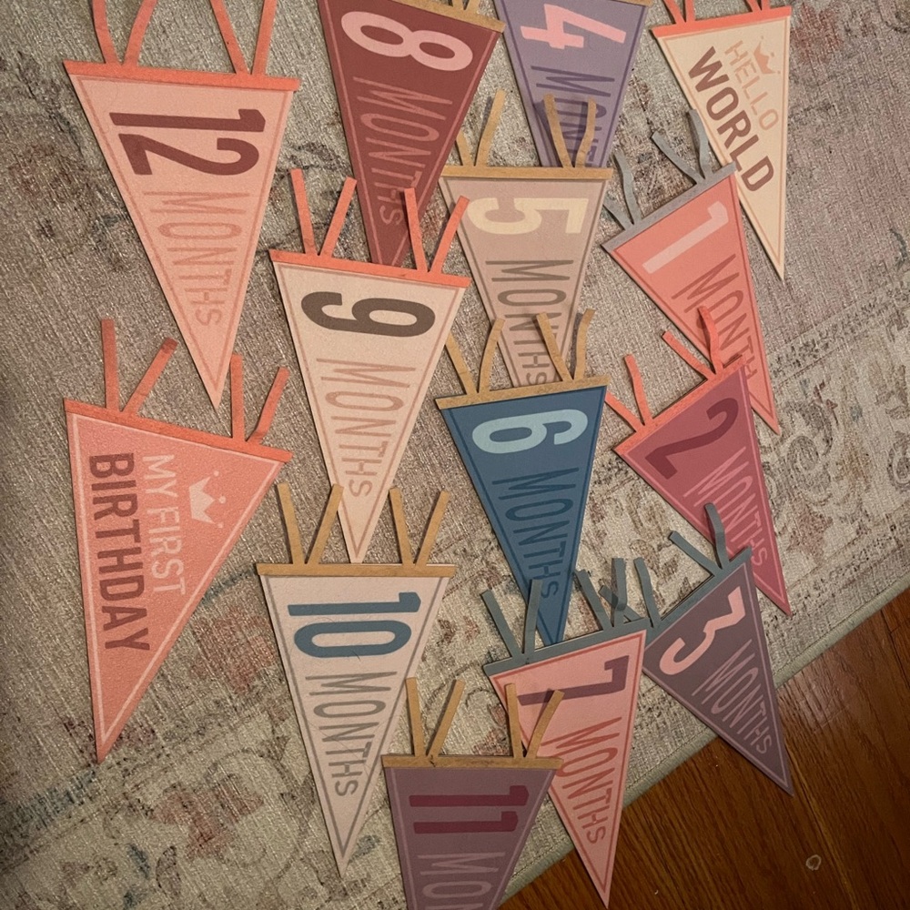 Colorful Monthly Milestone Banner for Baby's First Year